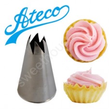 Ateco 885